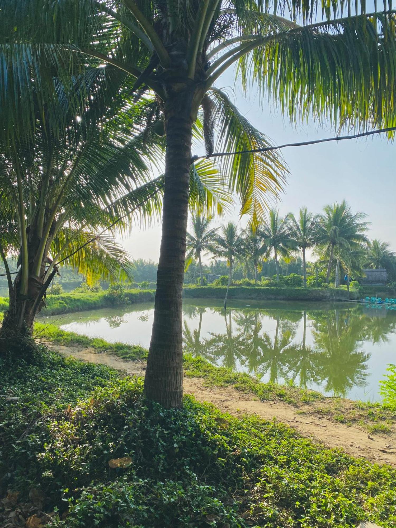 Laoxao Lakeview Homestay Хойан Экстерьер фото